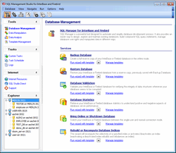 Screenshot for EMS SQL Management Studio for InterBase/Firebird 1.2